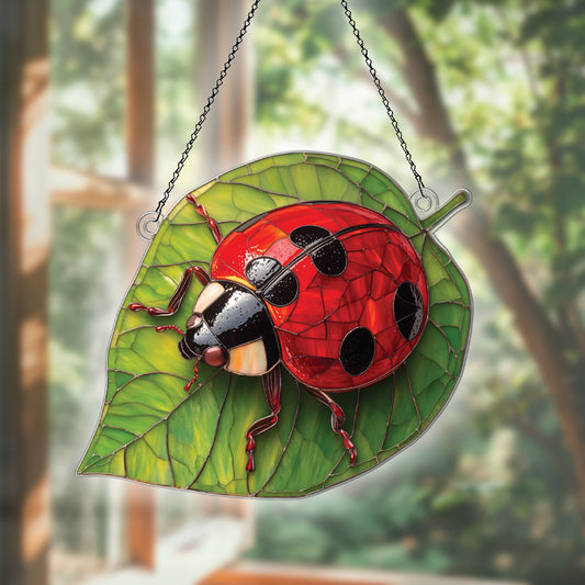 Personalized Lady Bug acrylic Christmas ornament by Foswick