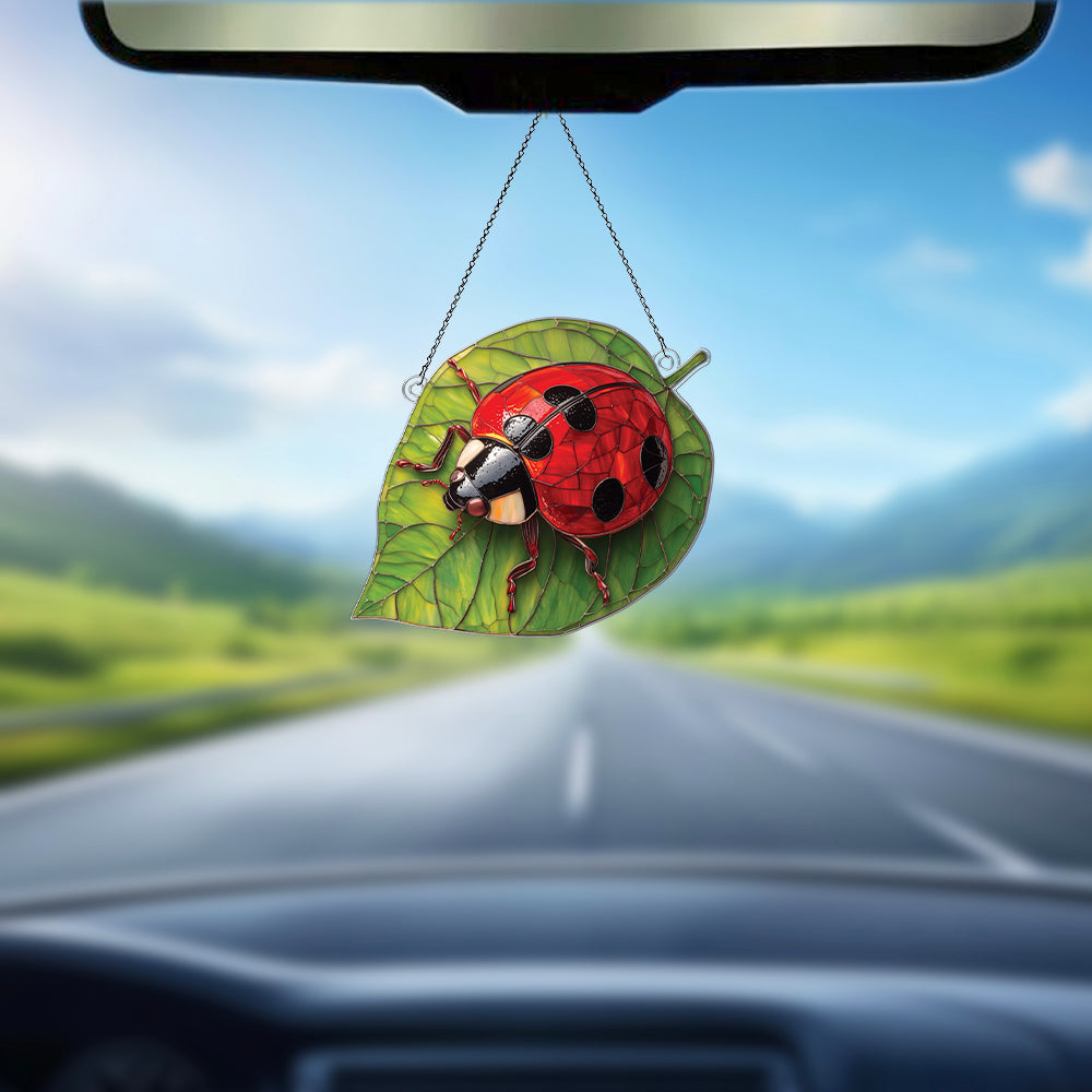 Personalized Lady Bug acrylic Christmas ornament by Foswick