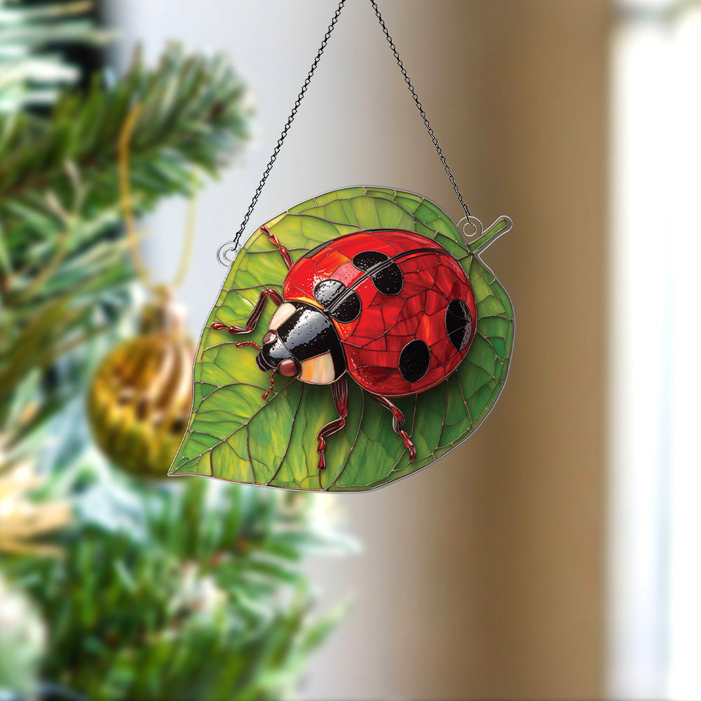 Personalized Lady Bug acrylic Christmas ornament by Foswick