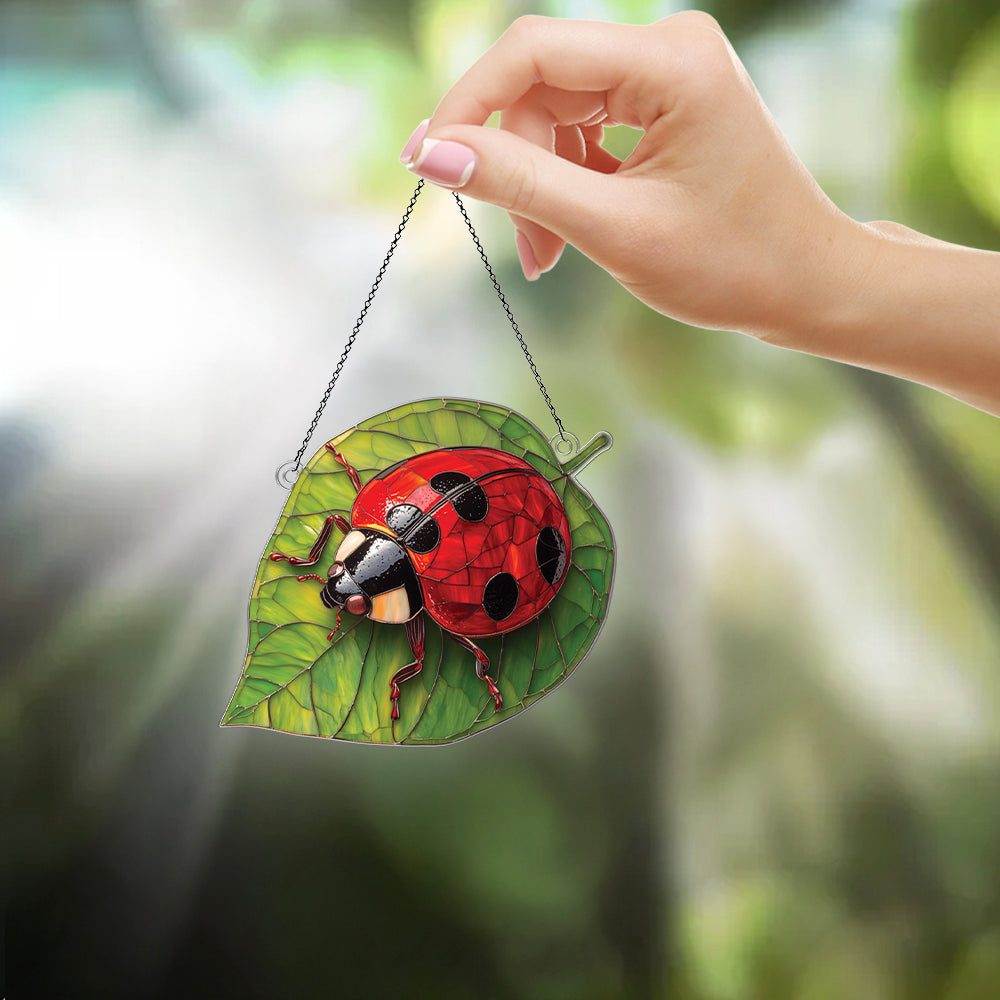 Personalized Lady Bug acrylic Christmas ornament by Foswick